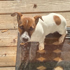 Meet your Posher, Tina